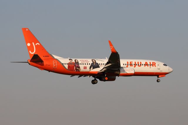 Boeing 737-800 (HL8262)
