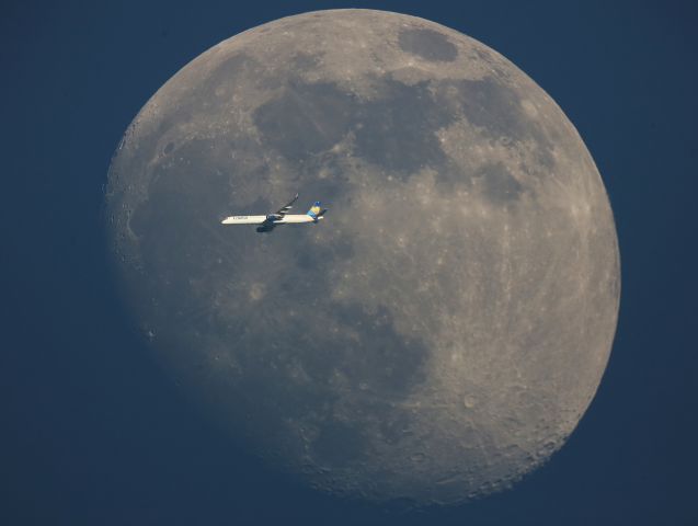 Boeing 757-200 (D-ABOE) - Photo prise au mois de juin en Vendee