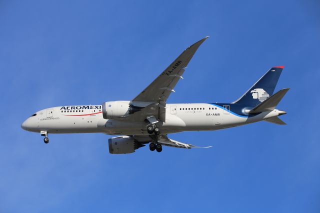 Boeing 787-8 (XA-AMR)