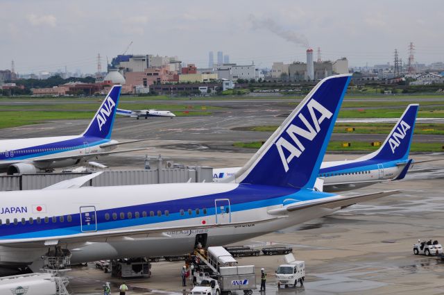 Boeing 737-800 (JA65AN) - ANA大集結！