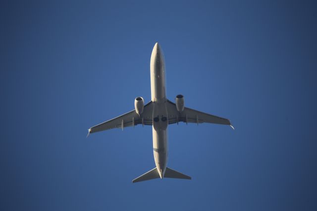 Boeing 737-900 (N66803)