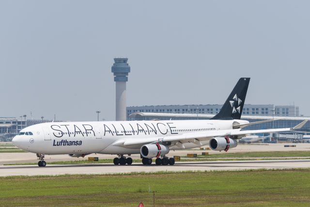 Airbus A340-300 (D-AIGN) - Lufthansa's Airbus A343 "star alliance livery" landed at Nanjing Lukou Airport-19.6.3