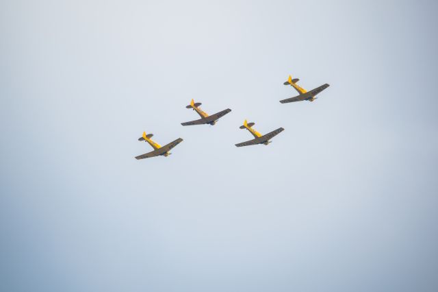 North American T-6 Texan (C-FHWX) - DHC-1 Chipmunks flying in formation near CYQG.