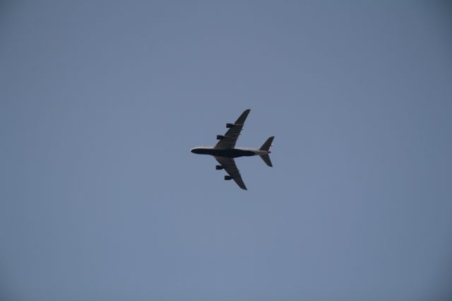 Airbus A380-800 — - FINAL APPROACH KLAX 24R