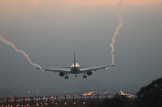 Airbus A321 (JA137A) - May 17th 2019:HND-HKD.