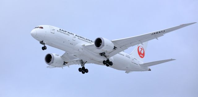 Boeing 787-8 (JA841J)