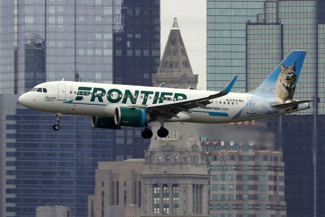 Airbus A320 (N337FR) - 'Hunter the Bobcat' arriving from Miami