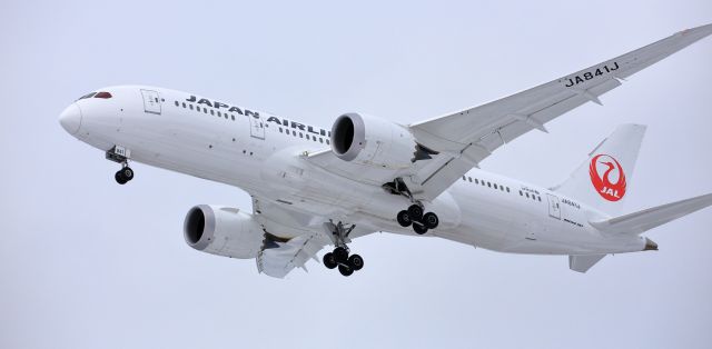 Boeing 787-8 (JA841J)