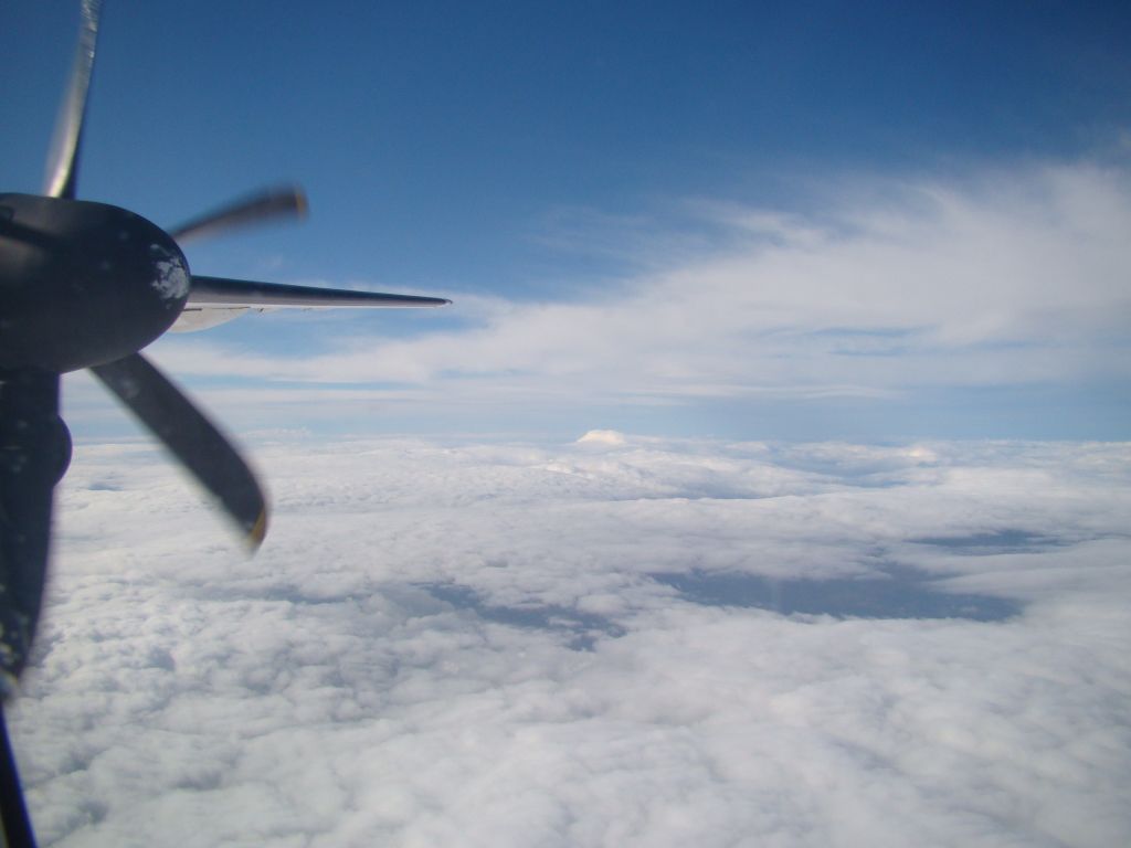 de Havilland Dash 8-400 (JA847A) - NH4841 RJCC-RJCW