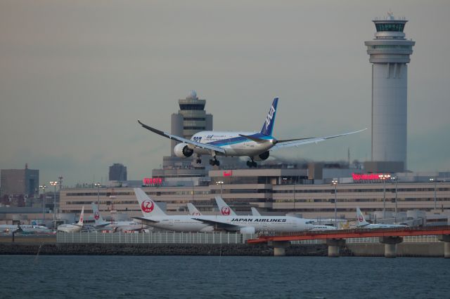 Boeing 787-8 (JA821A)