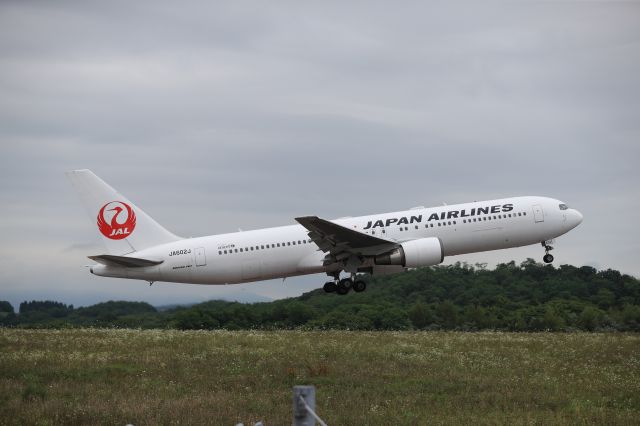 BOEING 767-300 (JA602J) - August 03, 2024:HKD-HND.
