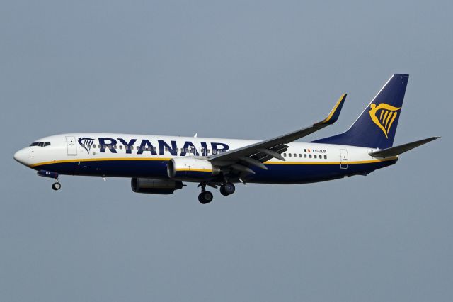 Boeing 737-800 (EI-DLR)