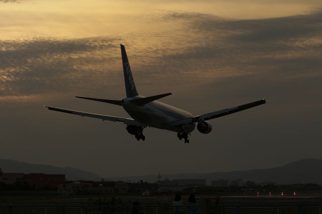 BOEING 767-300 (JA8569)