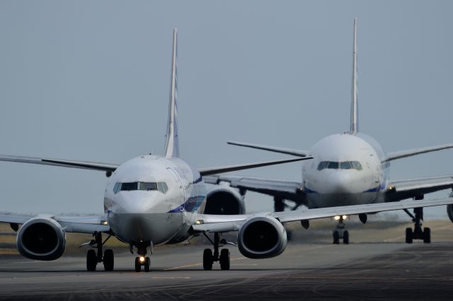 Boeing 737-500 (JA356K) - and JA703A(772)ANA