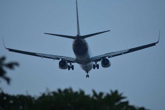 Boeing 737-700 (VT-TGC) - Early morning arrival, Vistara, RWY 20R, Changi, Singapore.