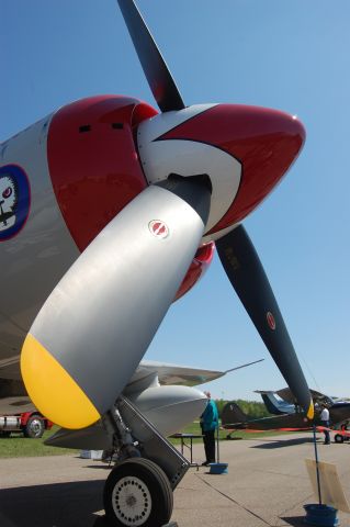 N71GB — - Hawker Sea Fury FB11