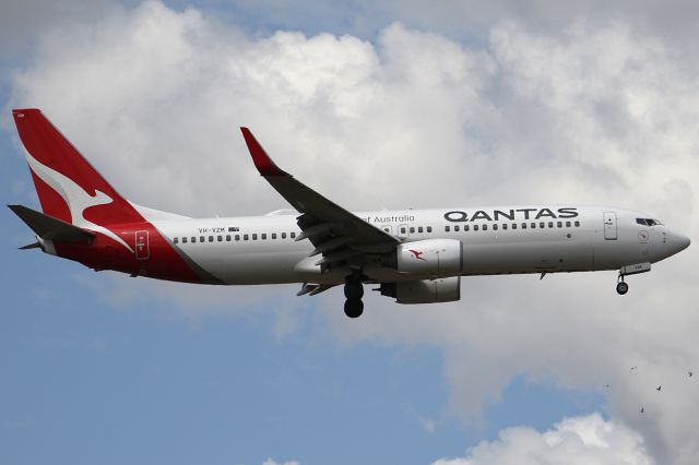 Boeing 737-800 (VH-VZM) - Kalamunda Road,br /on 16 March 2020