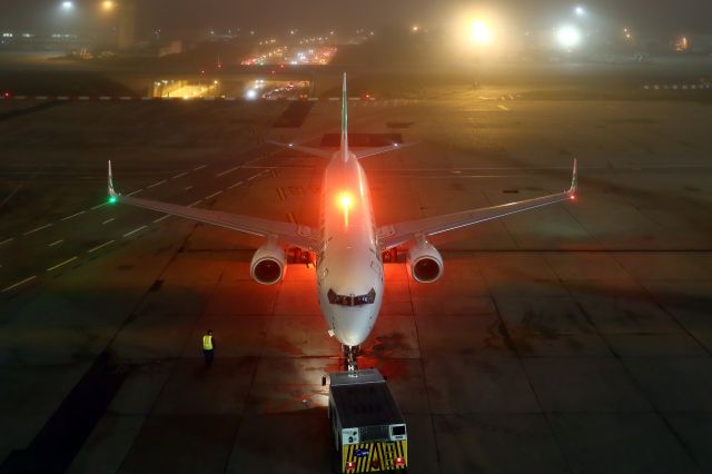 Boeing 737-800 (F-GZHG) - 16/11/2018. Fog in the night. South Terminal.