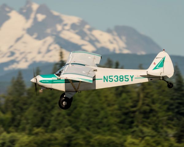 Piper L-21 Super Cub (N5385Y)