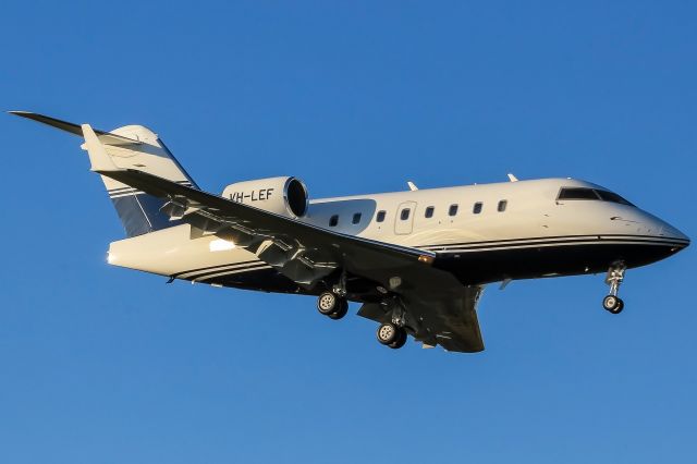 Canadair Challenger (VH-LEF)