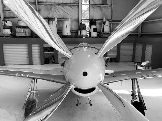 North American P-51 Mustang (N51JT)