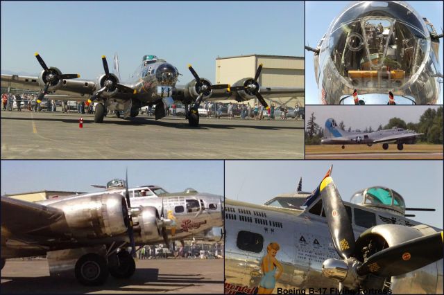 — — - The B-17 Visited Paine Field - KPAE - 08/2011 where the pics were taken.br /br /The "full" size collage is 12 x 18 inches, which is a standard print size at Costco, and also a standard picture frame size.  br /br /To download the "full" size pic, display it, and then click on it using the right button of your mouse. Then use the "save target as" or "save link as" or "download linked file" option, to save the file on your computer.br /br /The 12 x 18 prints at Costco, are inexpensive. For a few dollars more, they can be laminated for pining to a wall. They look very nice. 
