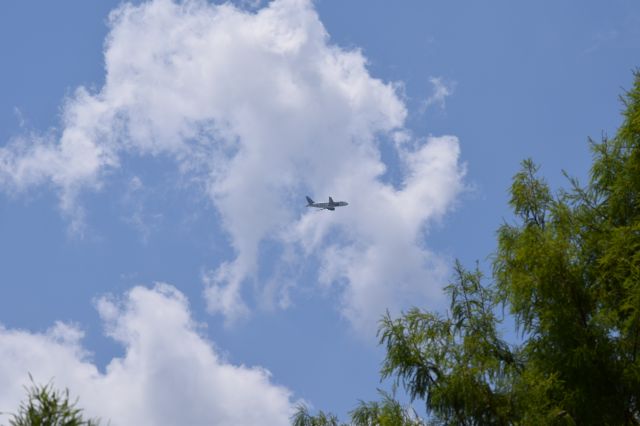 Airbus A319 — - Departing KMCO 11JUL2015