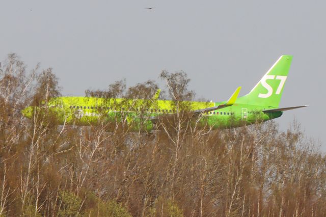 Boeing 737-800 (RA-73489)