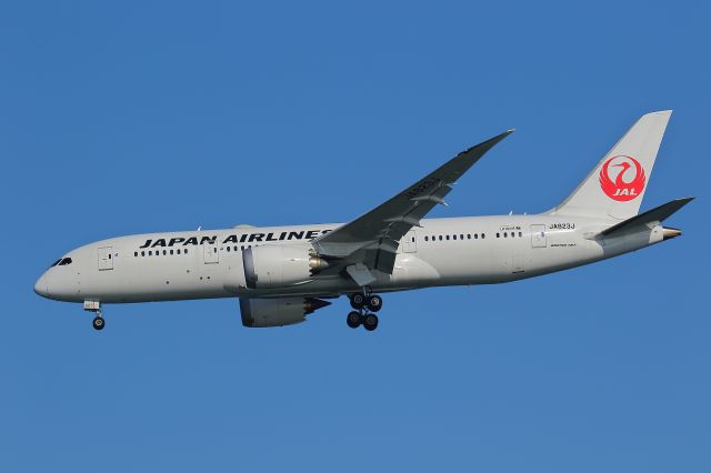 Boeing 787-8 (JA823J)