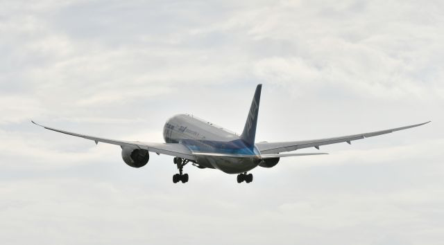 Boeing 787-8 (JA809A)