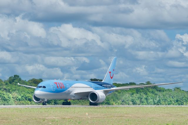 Boeing 787-8 (PH-TFM)