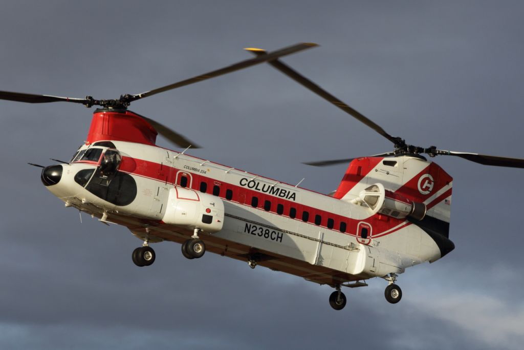 Boeing CH-47 Chinook (N238CH) - N238CH landing at the Adelaide Airport helipad on 7/5/22. From Scone, NSW (with a break in Mildura, Victoria) after the 21/22 bushfire season. This and N237CH were flown to Outer Habour, to be shipped to Turkey.