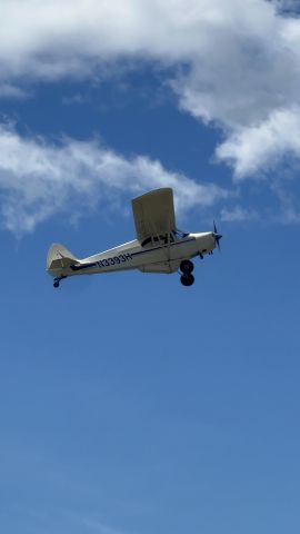 Piper PA-12 Super Cruiser (N3393H)