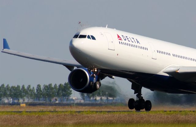 Airbus A330-300 — - bird strike just 7in. above the cockpit!