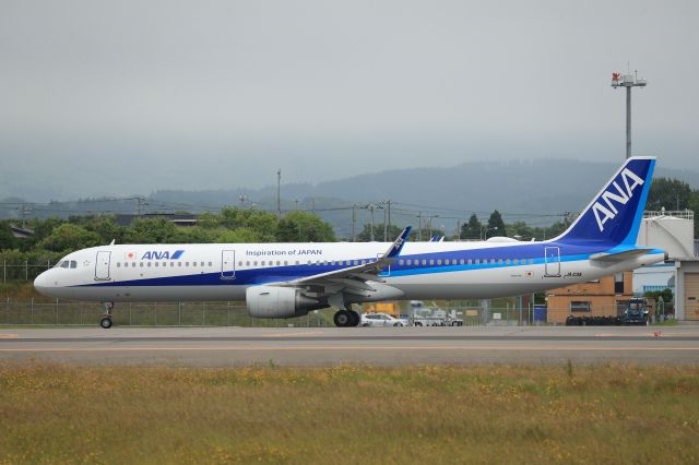 Airbus A321 (JA113A) - June 29th 2019:HKD-HND.