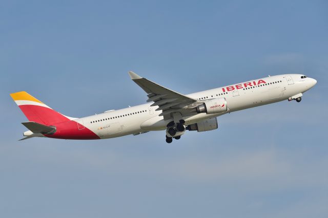 Airbus A330-300 (EC-LYF) - 05-20-24