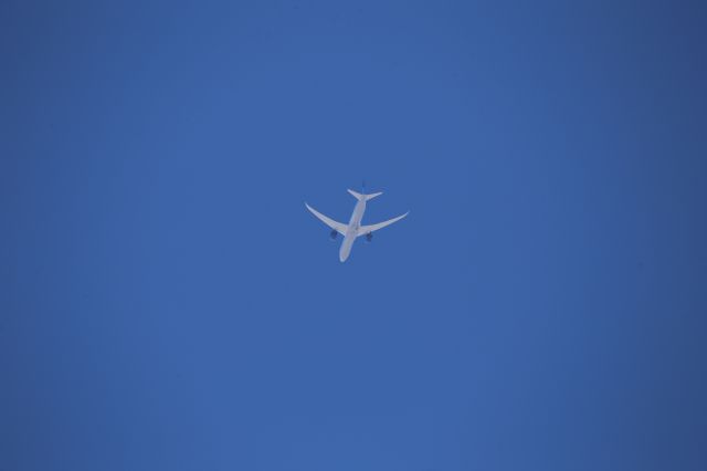 BOEING 787-10 Dreamliner (N14019)