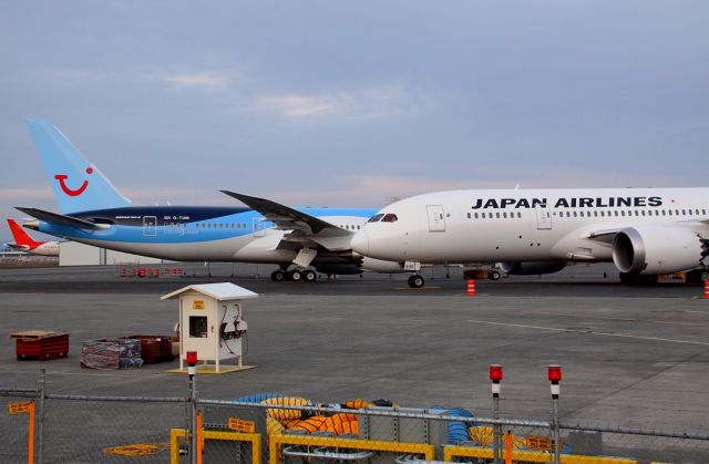 Boeing 787-8 (G-TUIB) - Thomson Airways G-TUIB and Japan Airlines JA830J at Paine Field March 26, 2013.