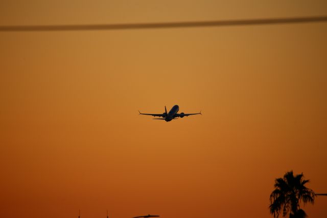 Boeing 737-800 (N8316H)