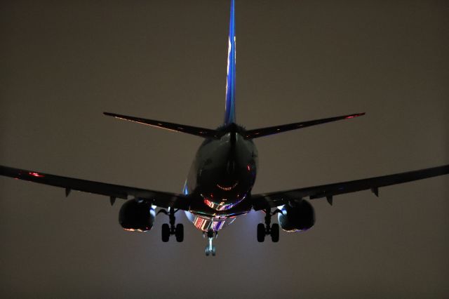 Boeing 737-800 (JA89AN) - January 25th 2020:HND-HKD.