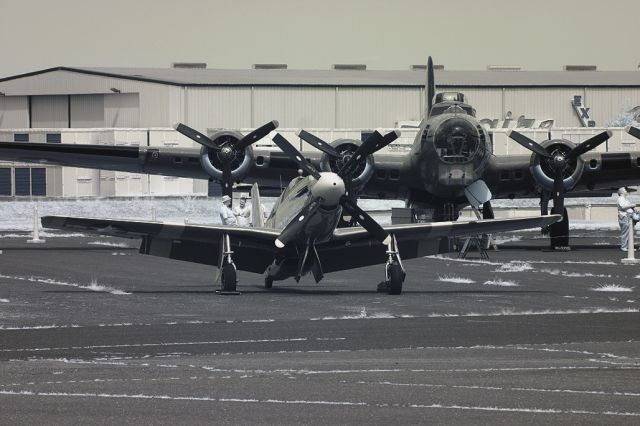 North American P-51 Mustang (NL251MX)