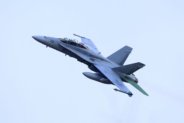 McDonnell Douglas FA-18 Hornet —