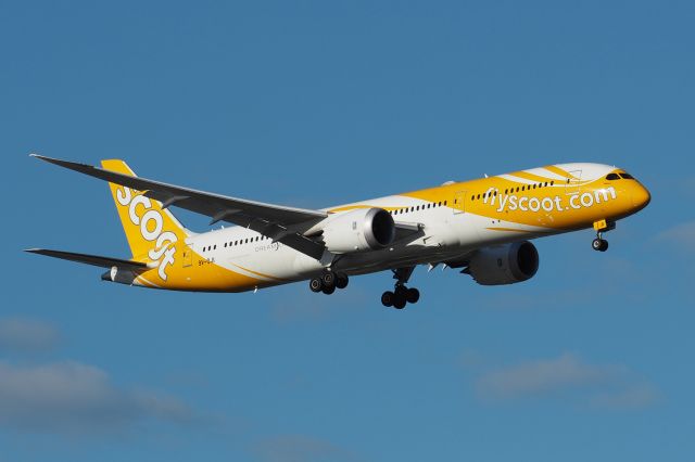 Boeing 787-9 Dreamliner (9V-OJI) - Boeing 787-9 cn 37130 Ln 839. Scoot 9V-OJI Ojisan final rwy 21 YPPH 04 September 2021