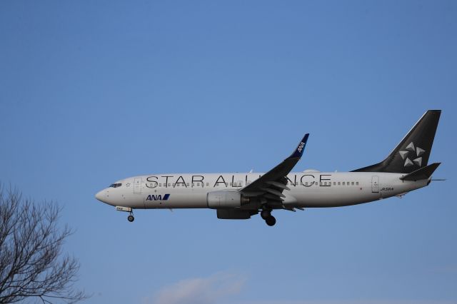 Boeing 737-800 (JA51AN) - February 15th 2020:HND-HKD.