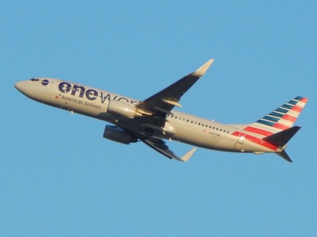 Boeing 737-800 (N837NN) - American OneWorld livery