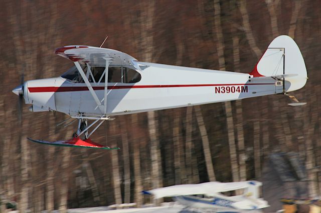 Piper PA-12 Super Cruiser (N3904M)