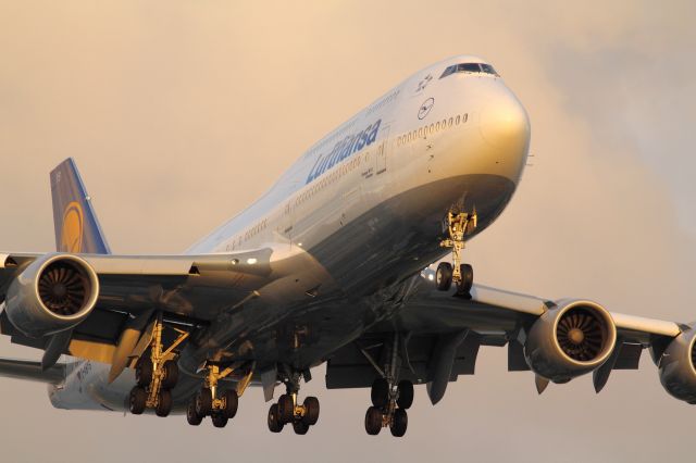 BOEING 747-8 (D-ABYS)