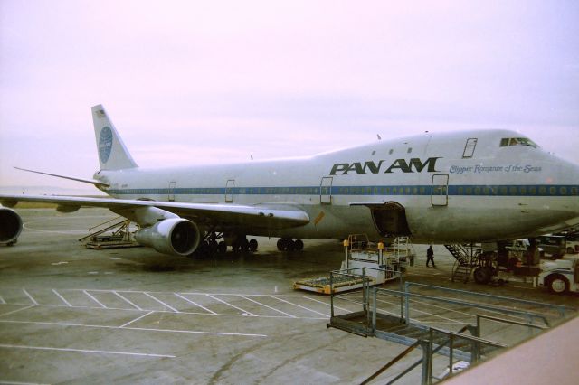 BOEING 747-100 (N659PA) - KSFO - "Clipper Romance of the Seas" B-747-121 cn 20354 ln:br /142 at the SFO Intl terminal in Summer 1988.