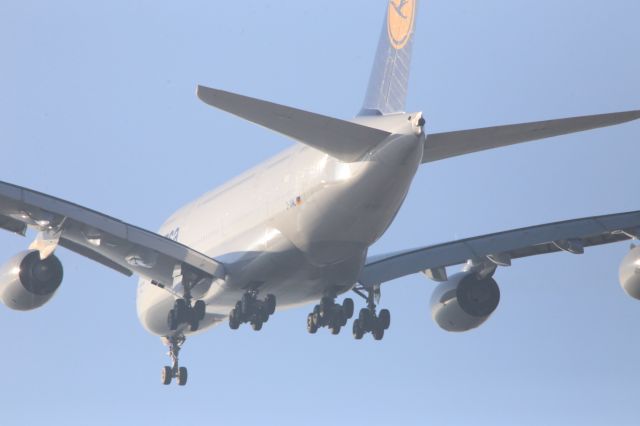 Airbus A380-800 (D-AIML)