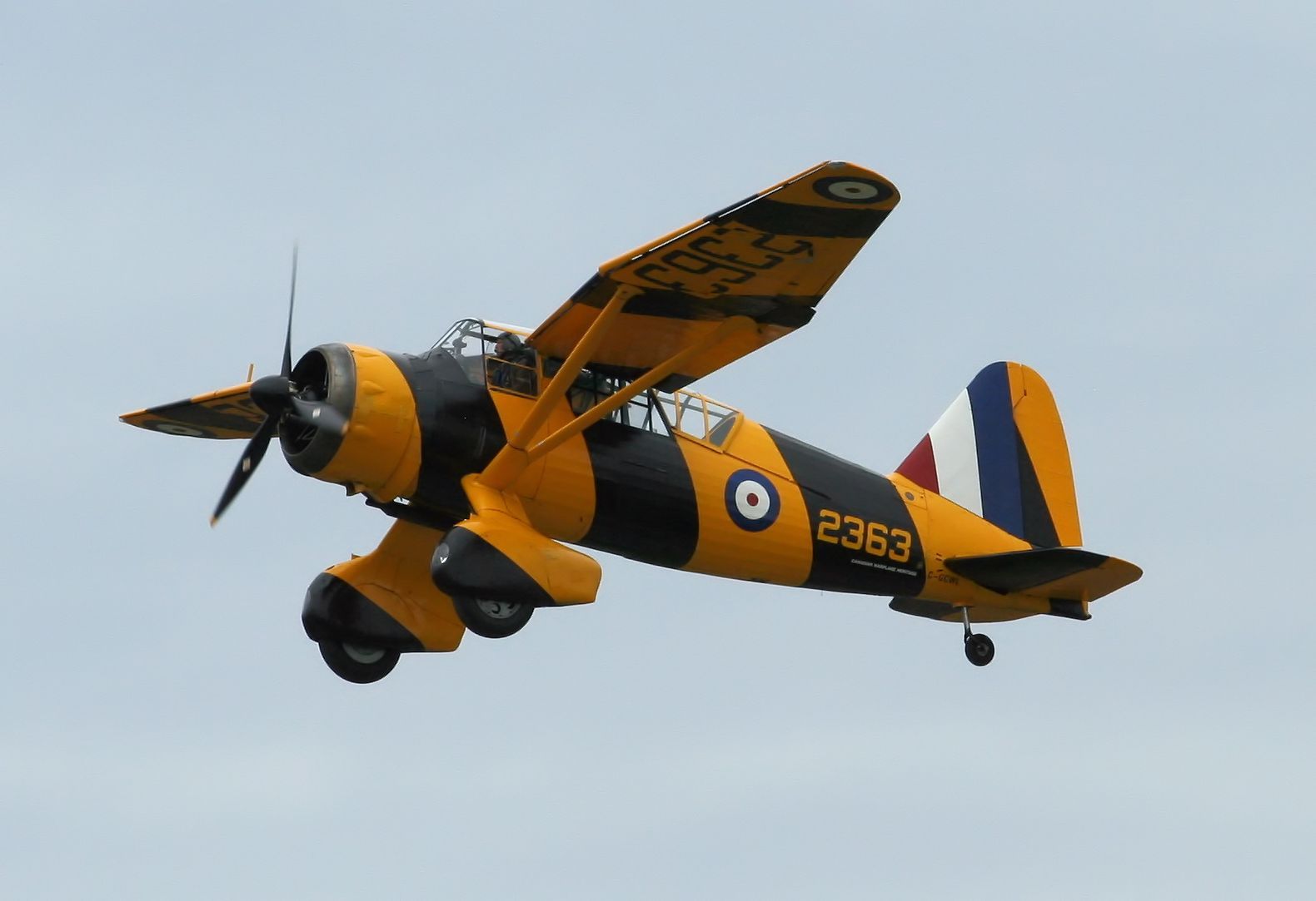 WESTLAND Lysander (C-GCWL)